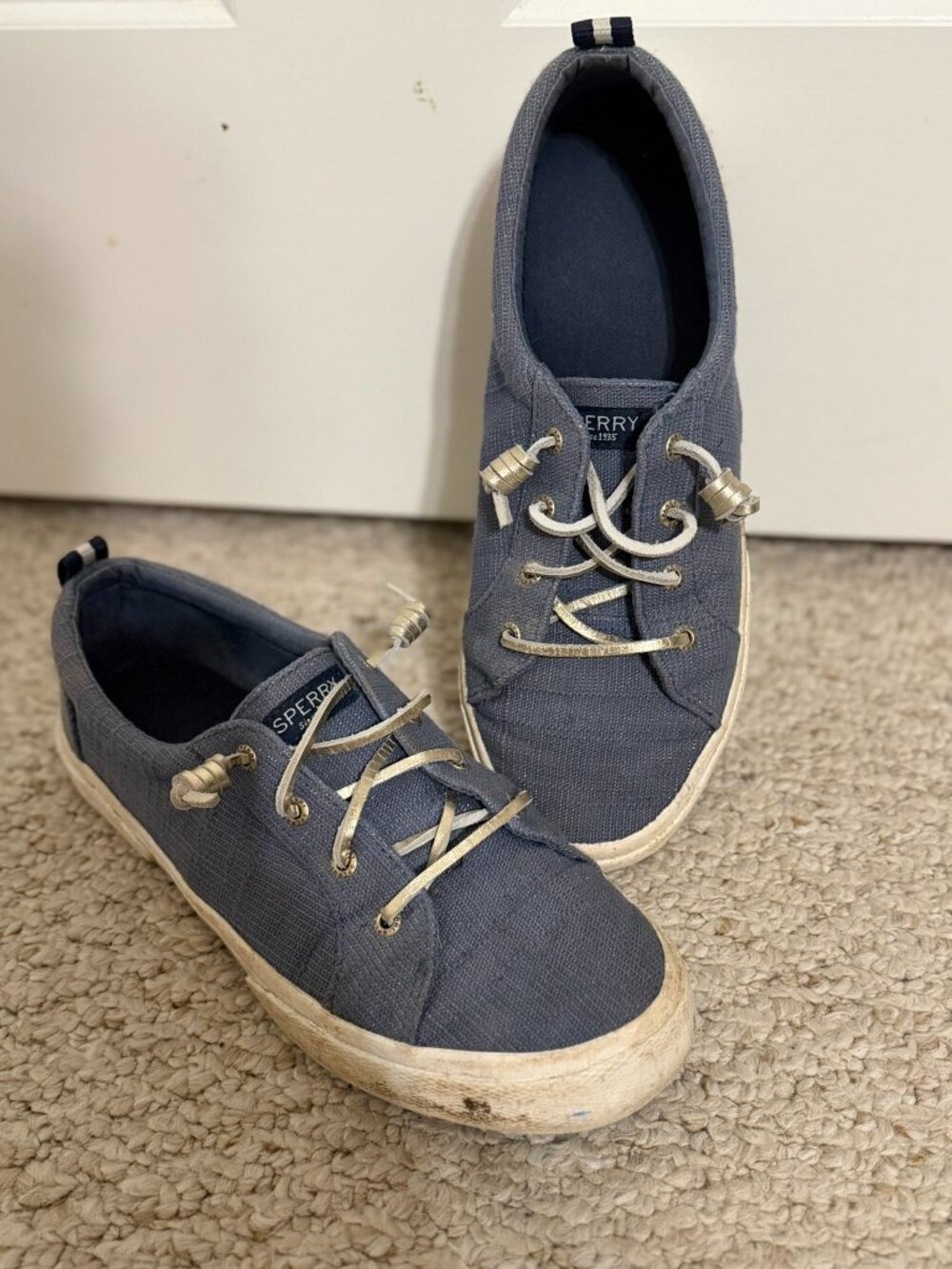 Sperry Canvas Slip-On Sneakers